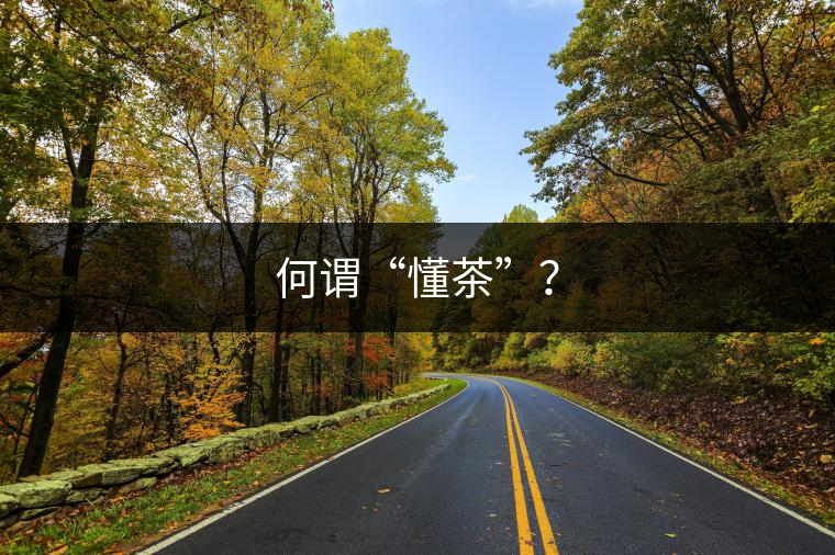 何謂“懂茶”？