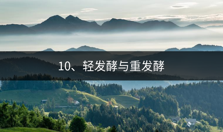 10、輕發(fā)酵與重發(fā)酵