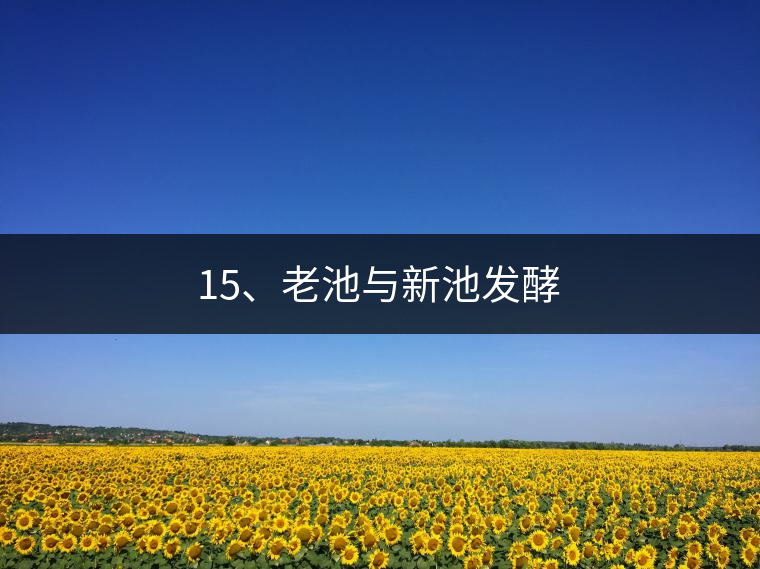 15、老池與新池發(fā)酵