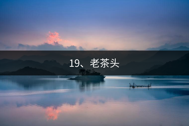 19、老茶頭