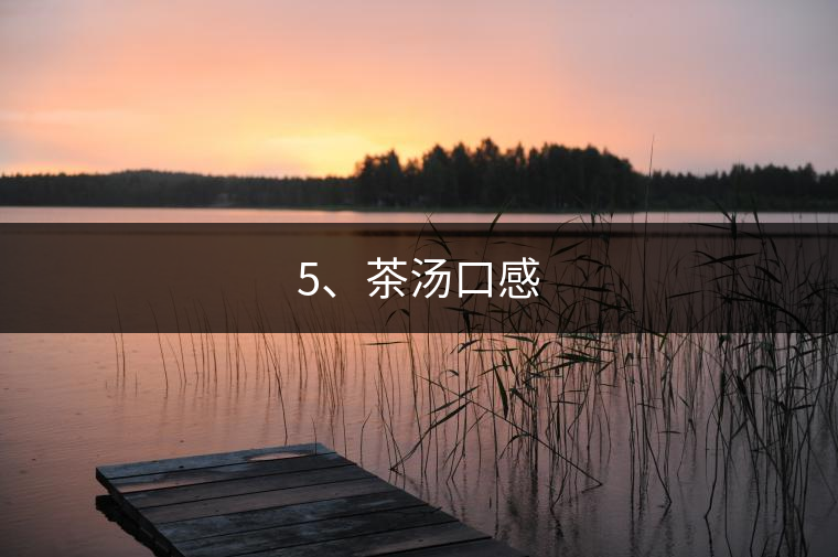 5、茶湯口感
