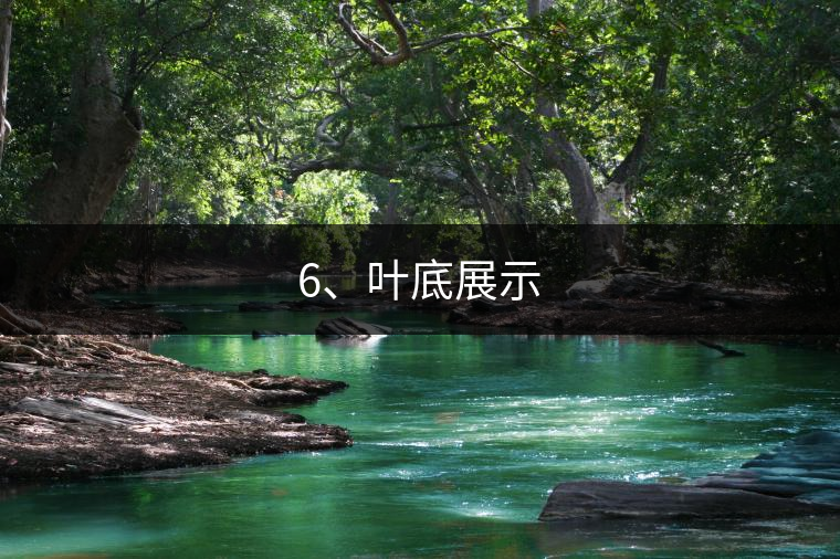 6、葉底展示