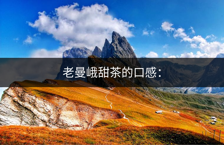 老曼峨甜茶的口感：