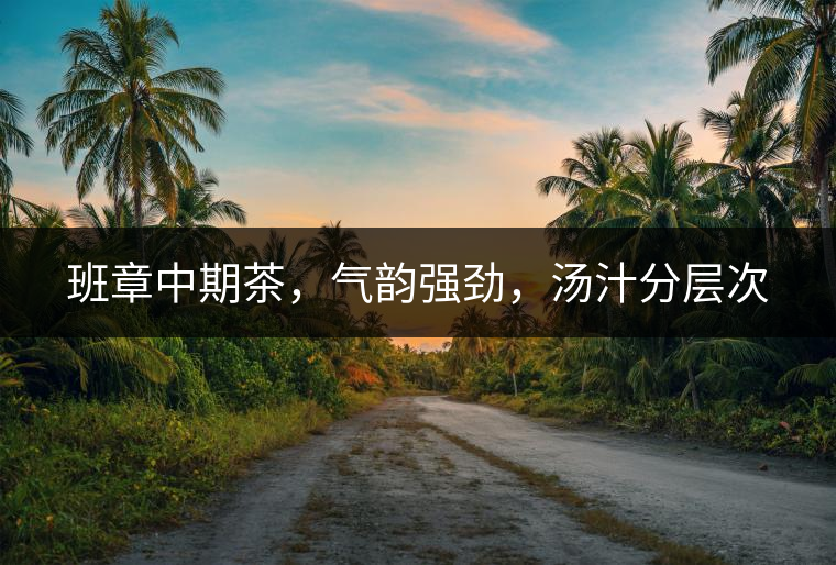 班章中期茶，氣韻強勁，湯汁分層次