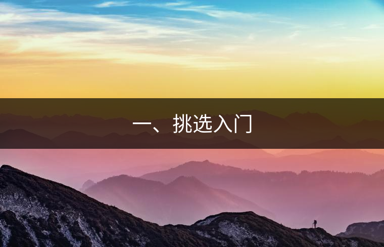 一、挑選入門