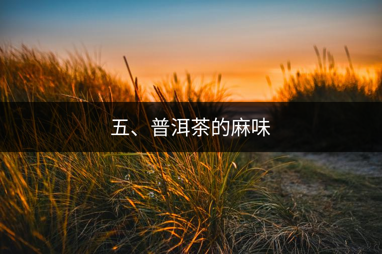 五、普洱茶的麻味