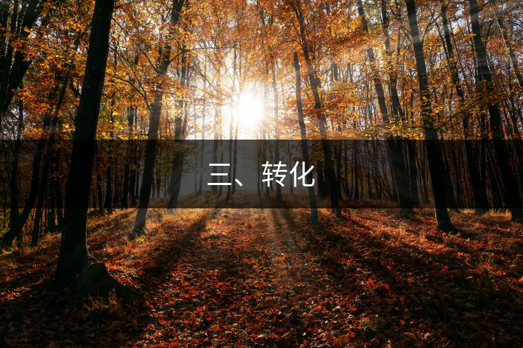 三、轉(zhuǎn)化