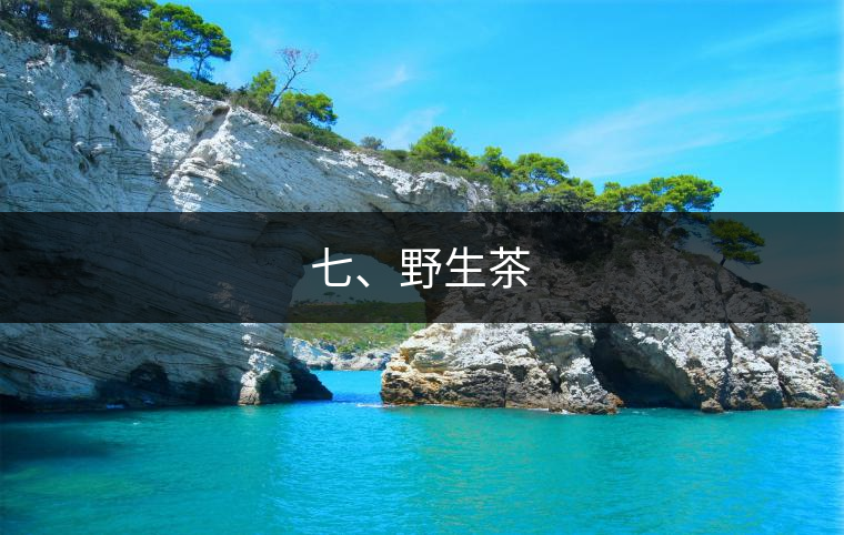 七、野生茶