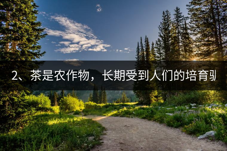 2、茶是農(nóng)作物，長(zhǎng)期受到人們的培育馴化。