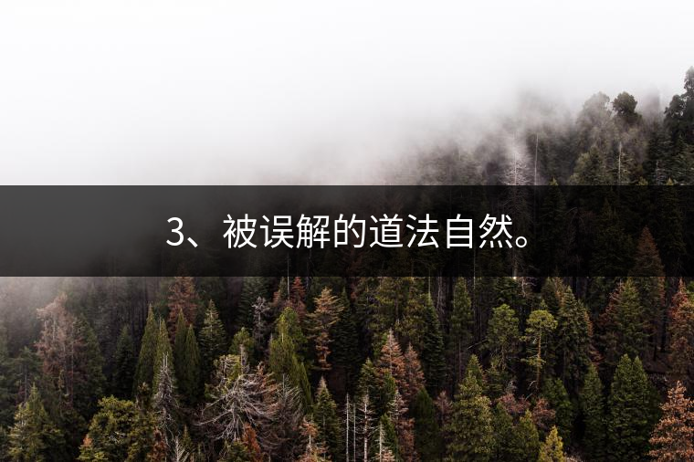 3、被誤解的道法自然。