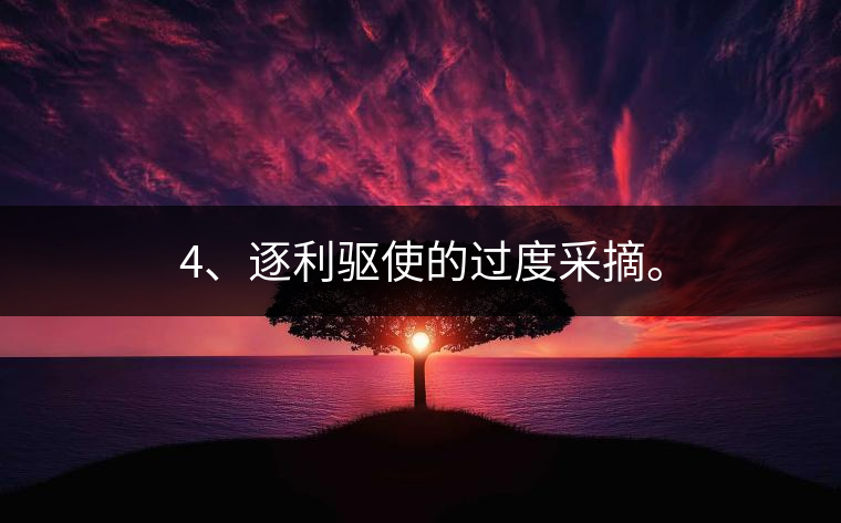 4、逐利驅(qū)使的過度采摘。