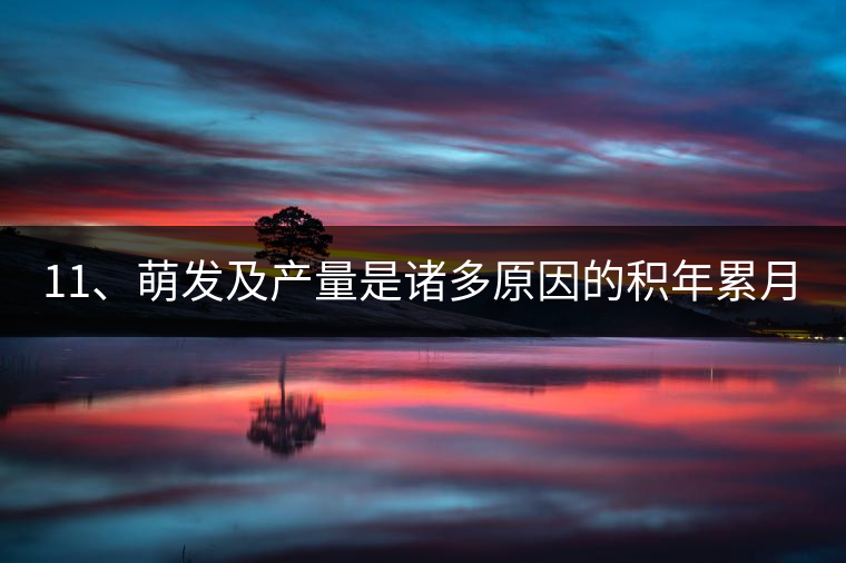11、萌發(fā)及產(chǎn)量是諸多原因的積年累月的疊加。