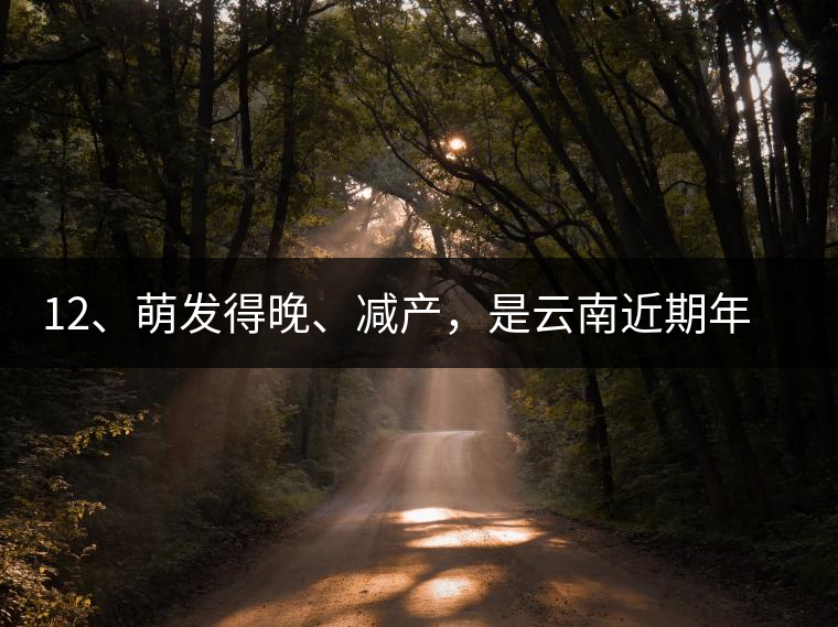 12、萌發(fā)得晚、減產(chǎn)，是云南近期年氣候變化在茶樹上的延遲反映。