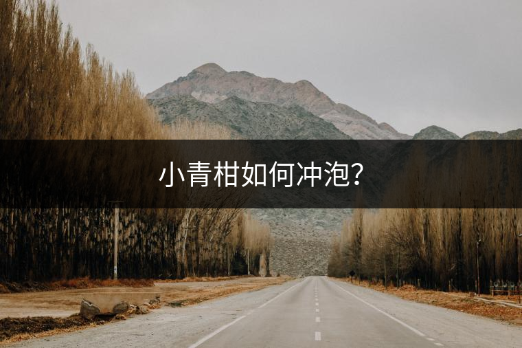 小青柑如何沖泡？
