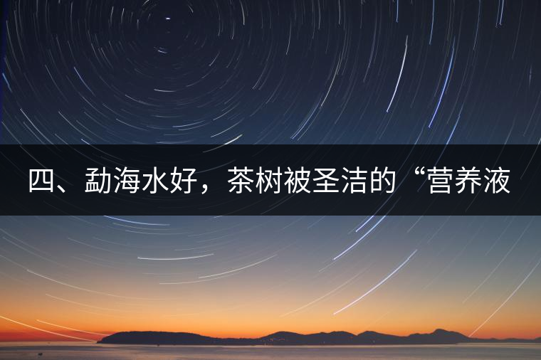 四、勐海水好，茶樹被圣潔的“營養(yǎng)液”所滋養(yǎng)