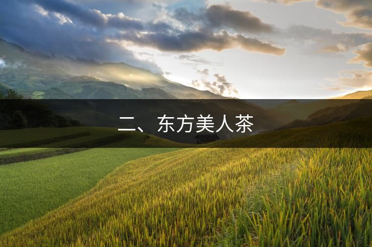 二、東方美人茶