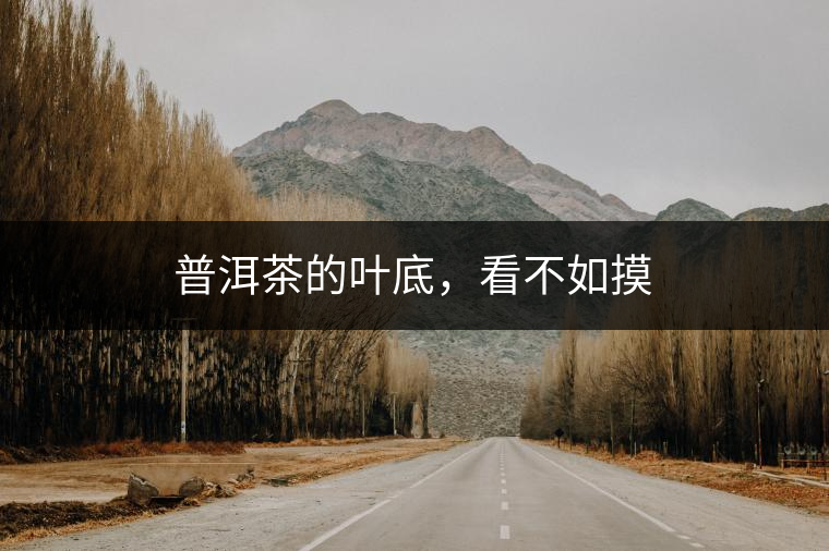 普洱茶的葉底，看不如摸