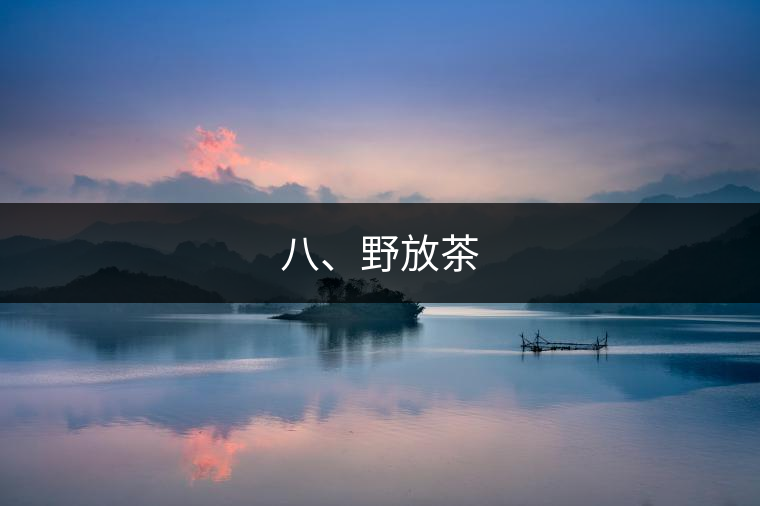 八、野放茶