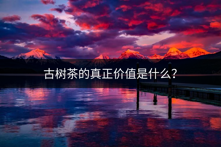 古樹茶的真正價(jià)值是什么？