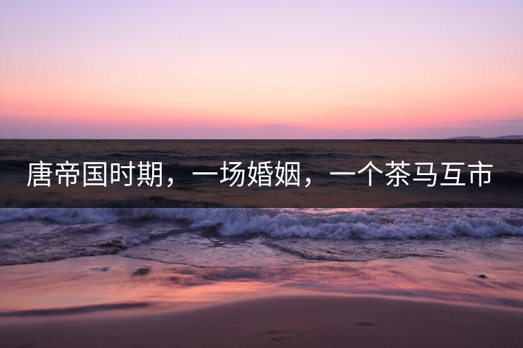 唐帝國時期，一場婚姻，一個茶馬互市，讓這里結(jié)束了漢藏對峙。宋代南茶北，西北茶馬司設(shè)立，因茶而改變的生活日益凸顯。元代八思巴與忽必烈在這一區(qū)域結(jié)盟，為蒙藏兩大民族交往鋪好通衢大道，明代俺答汗與達賴在山海之間追思各自先人，青海人宗喀巴創(chuàng)建的黃教通過蒙、藏兩大領(lǐng)袖的推廣，締造了影響至今的格局。大清經(jīng)過康、雍、乾三代勵精圖治，滿、藏、蒙各自龐大的疆域第一次完整地統(tǒng)轄在中央帝國的版圖下。