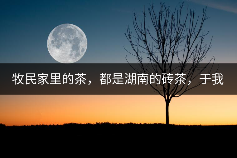 牧民家里的茶，都是湖南的磚茶，于我們而言不見得有多好，它們粗糙得看可見茶梗和樹枝，但于他們來說，卻是每日的生活必需品。端到桌上的茶碗，也是缺了口鋦過青花瓷碗，聞得見修補后的手溫，喝下加過鹽巴的磚茶，一身暖意，融化了深藏在發(fā)底的冰屑，溫暖著身心。