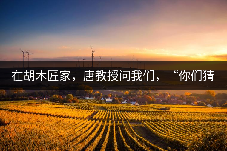 在胡木匠家，唐教授問我們，“你們猜猜他們家的茶放在哪里？”我們回答廚房、客廳都不對，“難道像寺院一樣，有專門的茶房不成？”教授和木匠都哈哈大笑，連連搖頭。在木匠的帶領(lǐng)下，我們來到主人的臥室，茶磚整齊有序地堆放在床頭柜里。一家之主的臥室，既是休息之所，亦是一家財富與傳家寶的收藏地。茶之精貴，毋需多言。