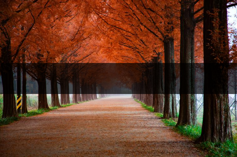 這樣的茶葉邊疆文化，也許是明代大學者解縉最樂意見到的。他曾說，中原最好的東西就是茶，而番人最好的就是馬。他贊同明廷茶馬互市的國策：茶之于夷人，如同中國之酒醴，因為茶馬貿(mào)易，許多夷人也開始學習中國的知識，對中國也有了向慕之心，那么茶的作用就很顯然，茶有著“夷夏之交，義利之辨，寅賓尚忠信而篤敬，河州固唐虞三代之邦也?！?茶不僅僅是一種飲品，還有其他。茶作為媒介，體現(xiàn)了觀念的變化。如今，隨著茶的傳播，各族人民有了更深入往來，通過貿(mào)易、文化、旅游等等。
陳渠珍從西藏抵達湟源區(qū)域時，也為這里的古風所震驚：“余皆漢番雜處。風俗婦女尚餞足，裙下蓮步不及三寸，服飾既古，文化尤卑，鄰居為私塾，當見一生久讀不能成誦，塾師罰之跪，以草圈罩頭上，頻加籌石，令其跪誦。余見駭然?！?
?
（摘自《海峽茶道》，2013年5期）