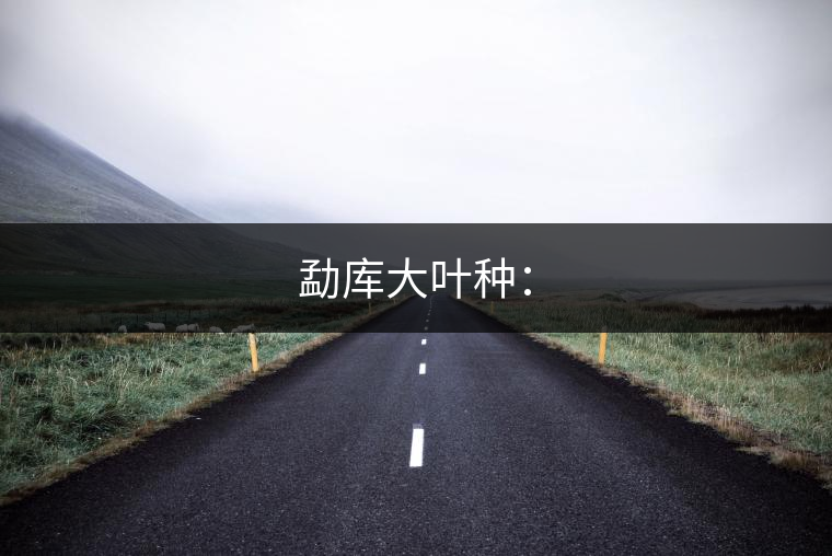 勐庫(kù)大葉種: 勐庫(kù)大葉種: