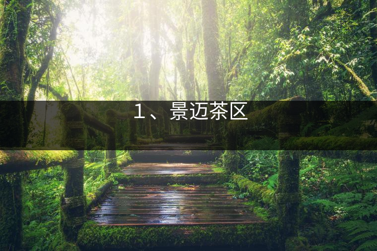 １、景邁茶區(qū)
?