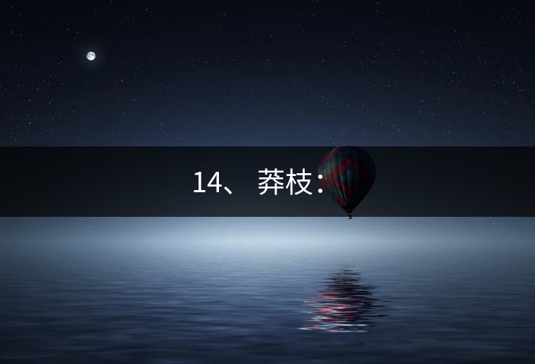14、 莽枝：?