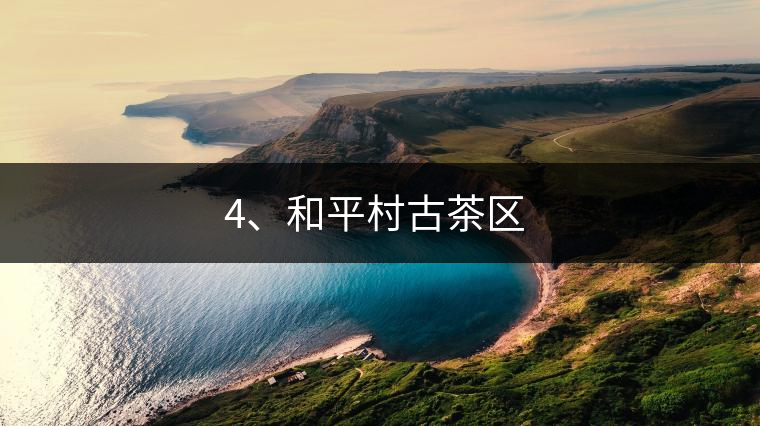 4、和平村古茶區(qū) ?