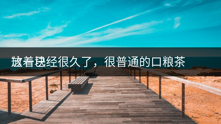 這一塊
放著已經很久了，很普通的口糧茶，煙味很重，但回甘也可以，隨意喝喝吧。