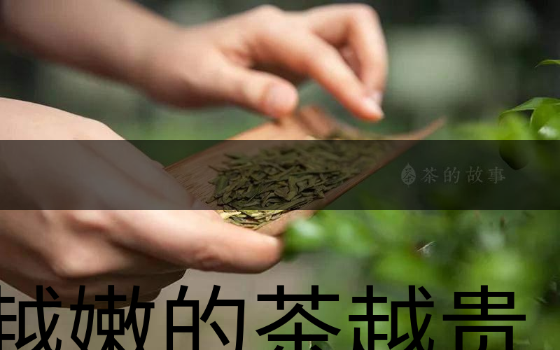 越嫩的茶越貴，但越貴的茶就越好嗎？
