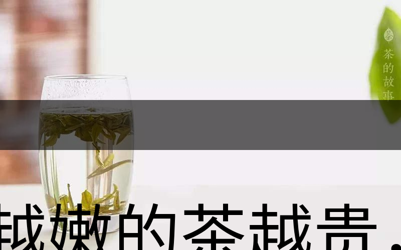 越嫩的茶越貴，但越貴的茶就越好嗎？-2