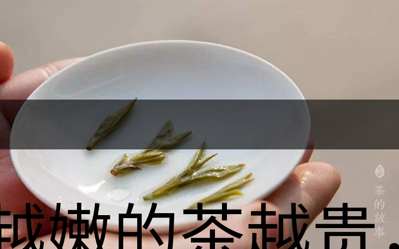 越嫩的茶越貴，但越貴的茶就越好嗎？-3