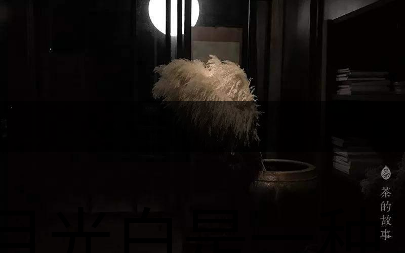 月光白是一種什么茶？