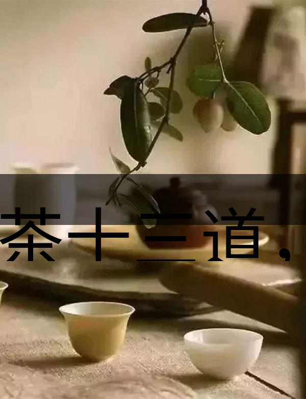 喝茶十三道，道道皆精華！-2