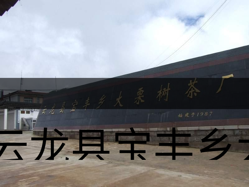 云龍縣寶豐鄉(xiāng)大栗樹茶廠簡(jiǎn)述-1 云龍縣寶豐鄉(xiāng)大栗樹茶廠簡(jiǎn)述-1