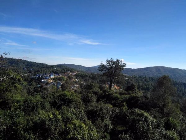 蘭香賀開，甘甜賀開