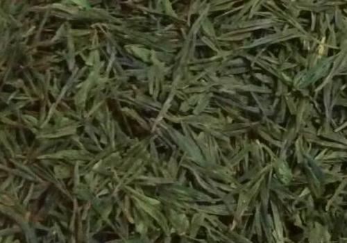 什么是海青茶？沖泡手法詳細(xì)教學(xué)！