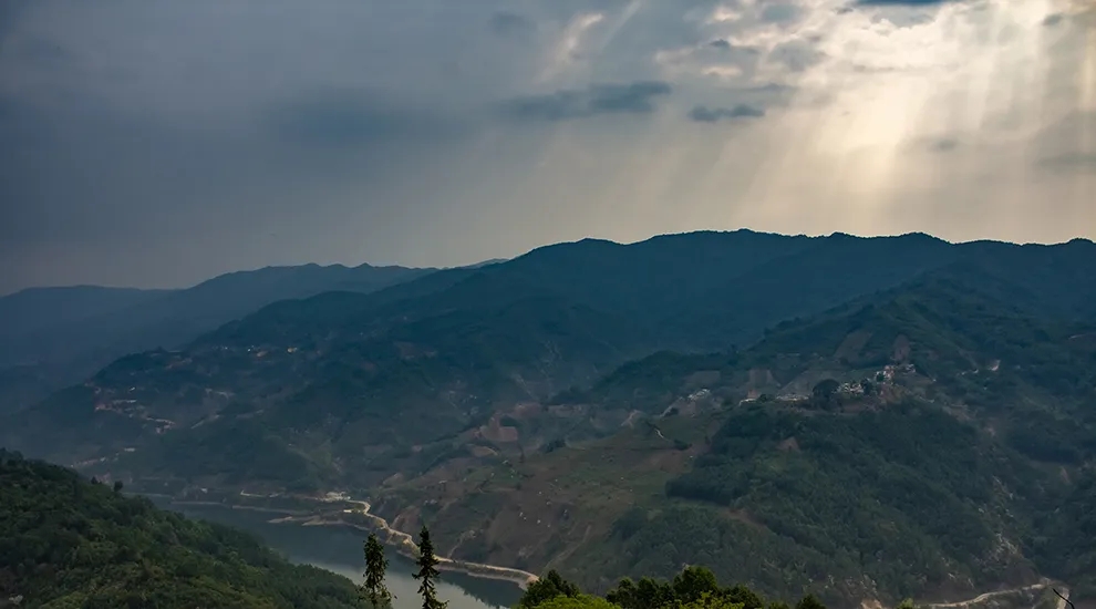 2021年磨烈：風(fēng)頭正勁的后起之秀，到底有何特點(diǎn)？