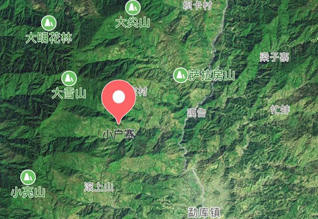 2021年小戶賽古樹秋茶有什么特點(diǎn)？