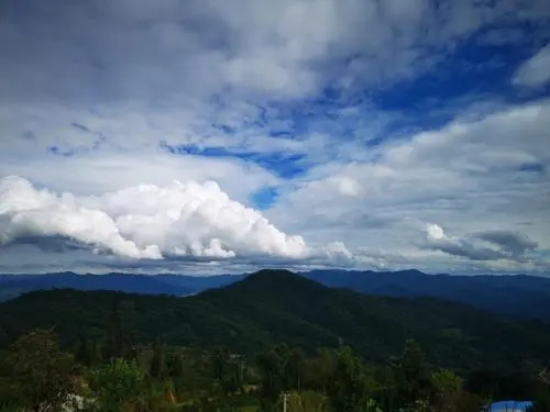 2021年那罕古樹秋茶口感？