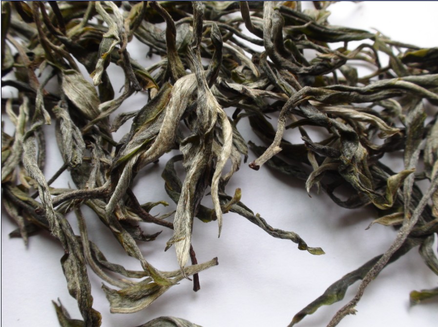 2021年馬鞍山古樹秋茶價(jià)格？