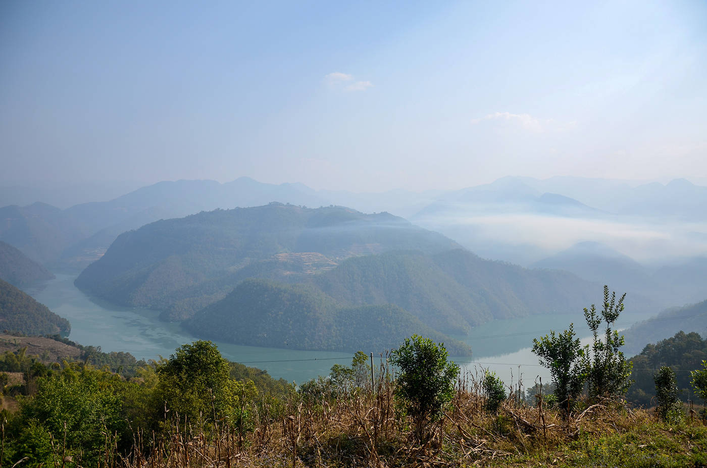 2021年白鶯山古樹秋茶，佛茶有什么魅力？
