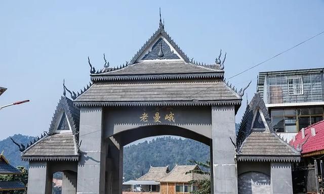 2021年老曼峨古樹秋茶特點(diǎn)？