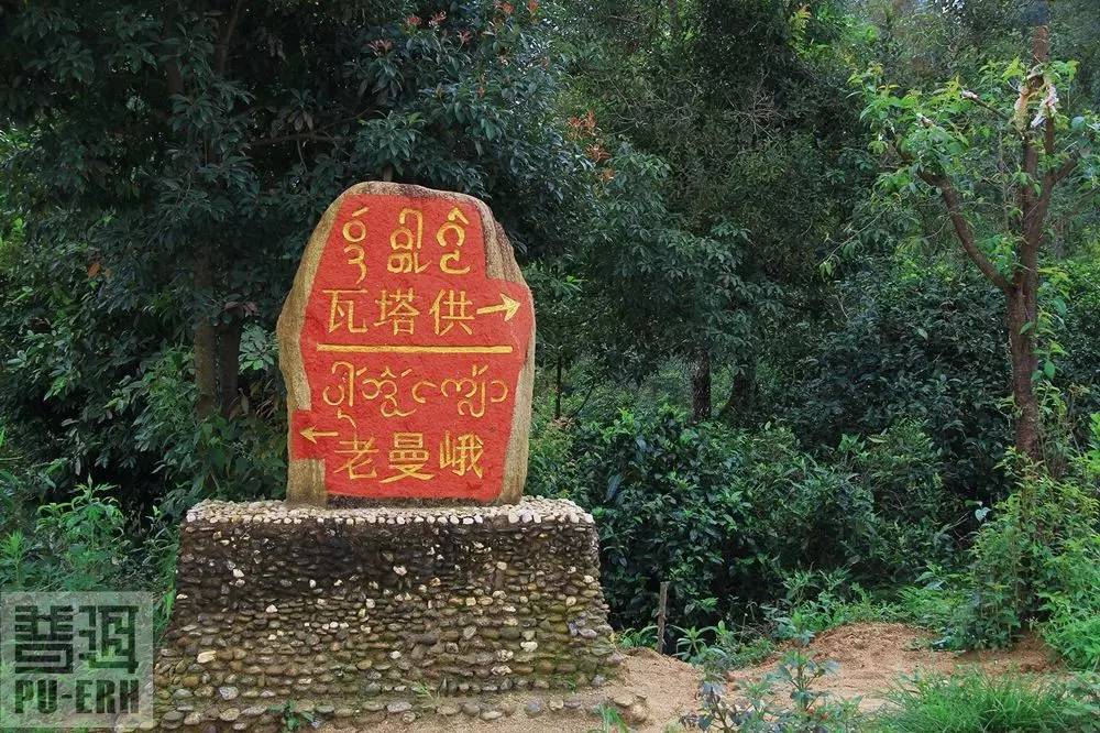 2021年老曼峨古樹秋茶價格多少？