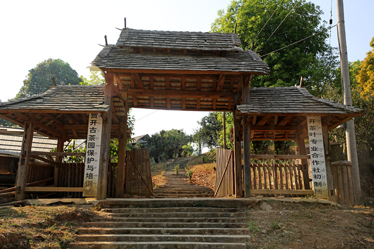 2021年賀開古樹秋茶特點？