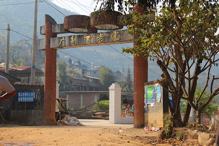 2021年廣別老寨古樹秋茶口感？