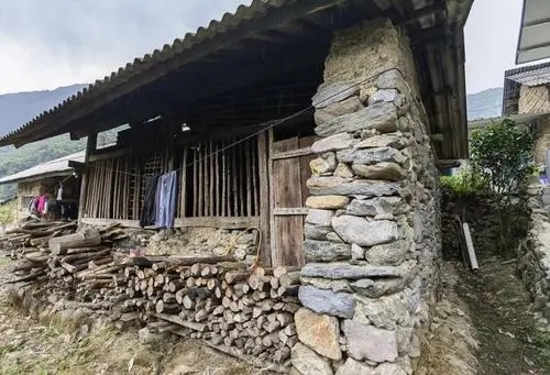 2022年景谷黃草壩古樹春茶特點是什么？